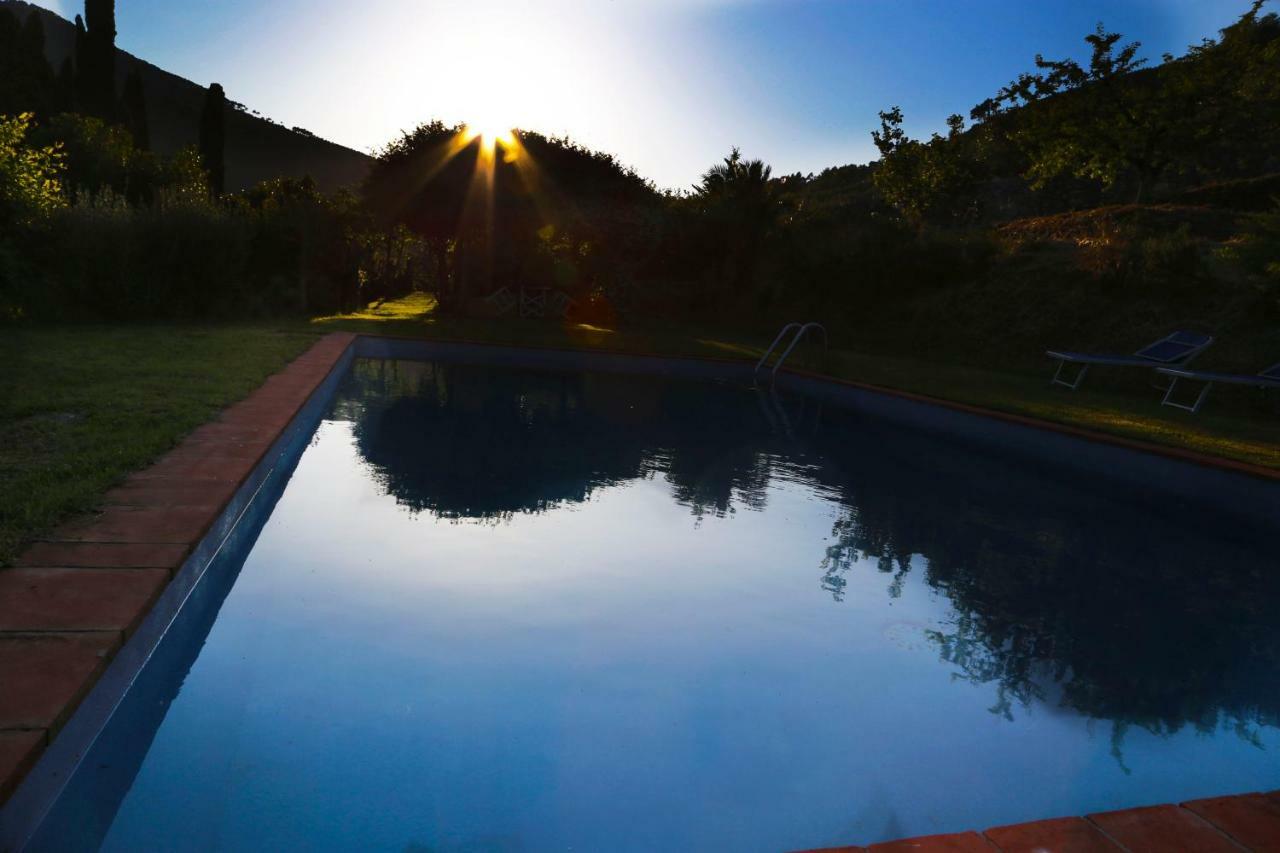 Agriturismo Alle Camelie Villa Капанари Екстериор снимка