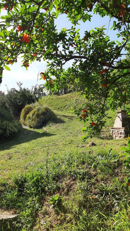 Agriturismo Alle Camelie Villa Капанари Екстериор снимка
